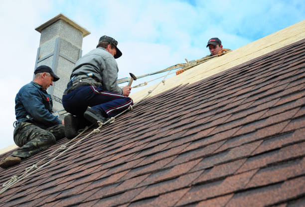 Quick and Trustworthy Emergency Roof Repair Services in Brownsville, TX